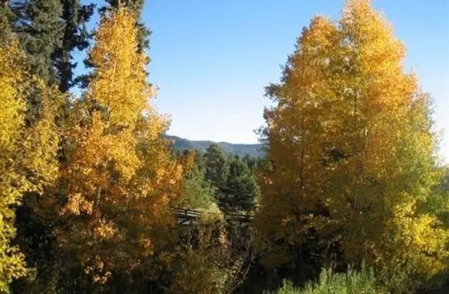 Meadow Creek Mountain Lodge and Event Center - Dış Mekan