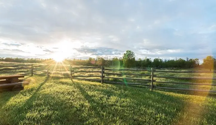 Meadow Lake Guest Ranch - Dış Mekan