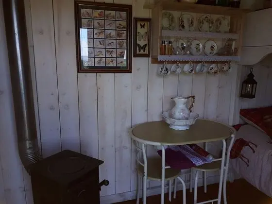 Meadow Shepherds hut - Mutfak
