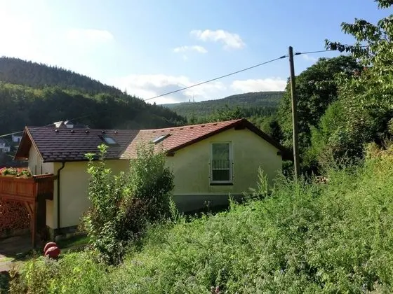 Meadow View Cottage in Winterstein Thuringia near Ski Area - Dış Mekan
