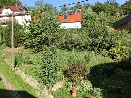 Meadow View Cottage in Winterstein Thuringia near Ski Area - Dış Mekan