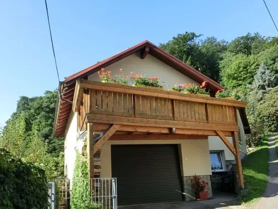 Meadow View Cottage in Winterstein Thuringia near Ski Area - Öne Çıkan Resim