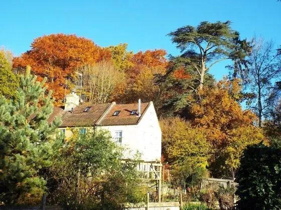 Meadowbrook Cottage B&B - Öne Çıkan Resim