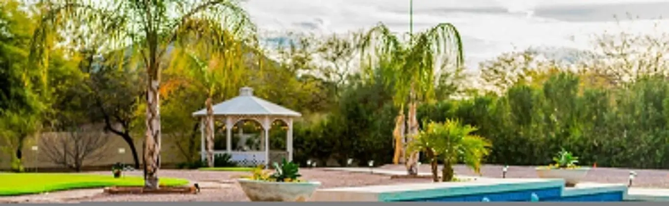 Meadowlark - Paradise Valley - Oda