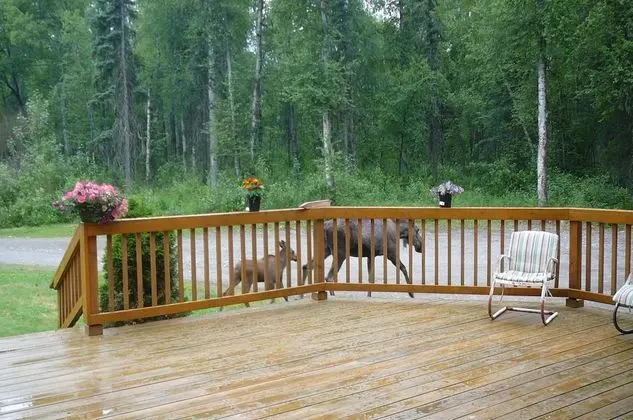 Meandering Moose Lodging - Dış Mekan