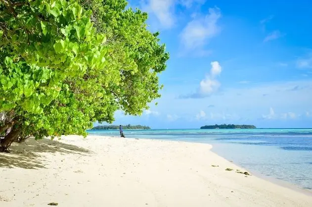 Medhufaru Inn - Plaj