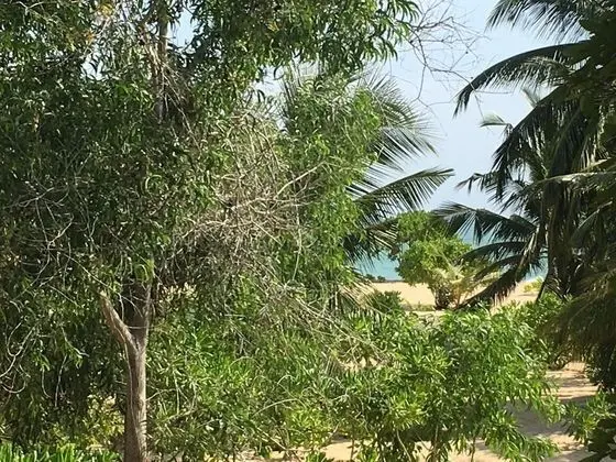 Medilla island resort - Dış Mekan