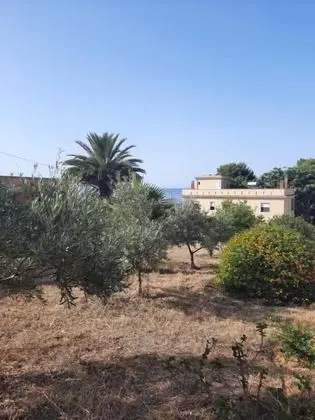 Mediterraneo - Dış Mekan