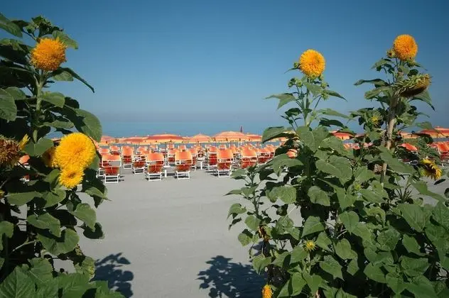 Mediterraneo Palace Hotel - Plaj