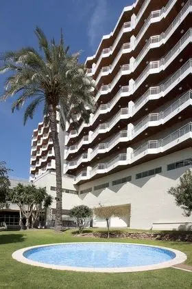 Medium Valencia - 1