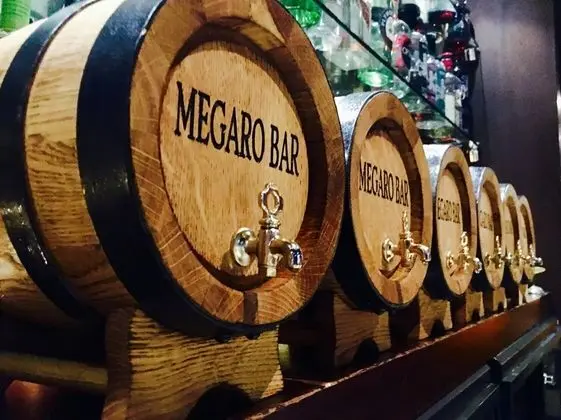 Megaro Hotel - Genel