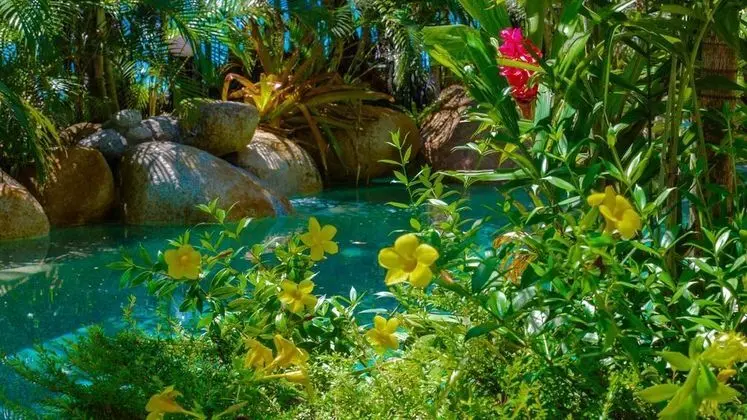 Melaleuca Resort - Genel