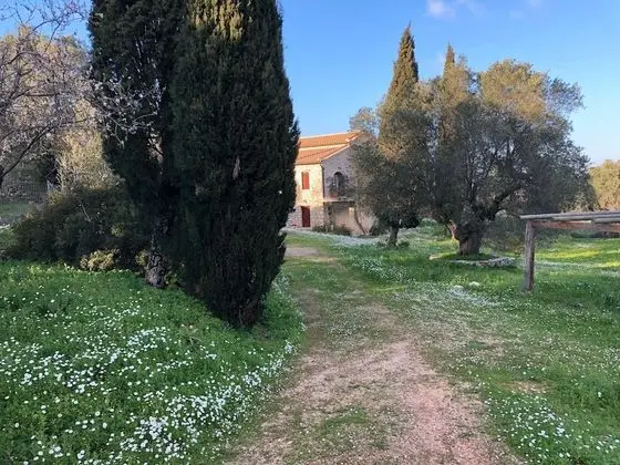 Villa Melite - Dış Mekan