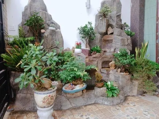 Melody Homestay Quy Nhon - Hostel - Dış Mekan