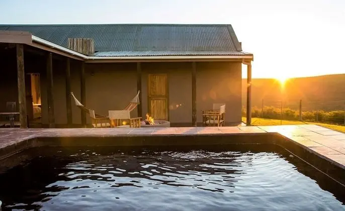Melozhori Game Reserve - Havuz