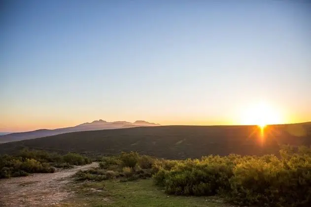 Melozhori Game Reserve - Oda Düzeni