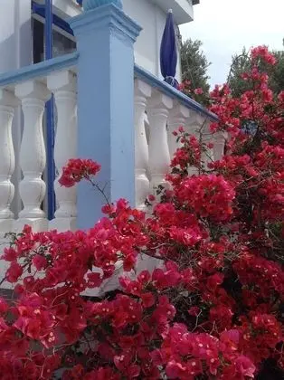 Meltemia Studio Samos N4 Livadaki - Dış Mekan