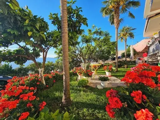 Villa Meminaj Vlore, Sea View and Garden, Vlore - Öne Çıkan Resim