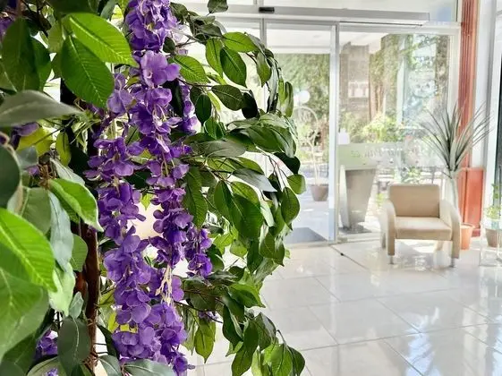Menada Miramar Palace Apartments - Dış Mekan