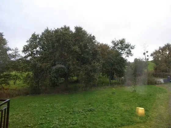 Mendi Alai - Oda Manzaraları