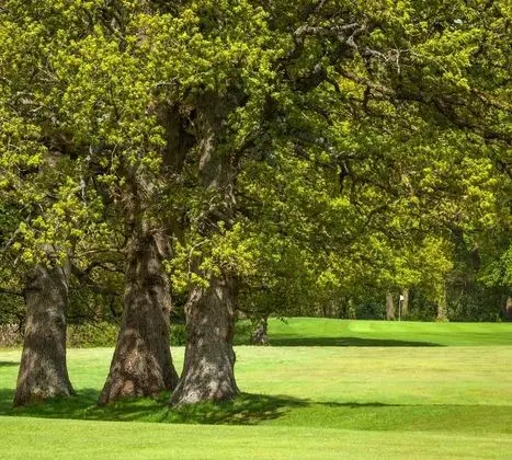 Meon Valley Hotel, Golf & Country Club - Dış Mekan