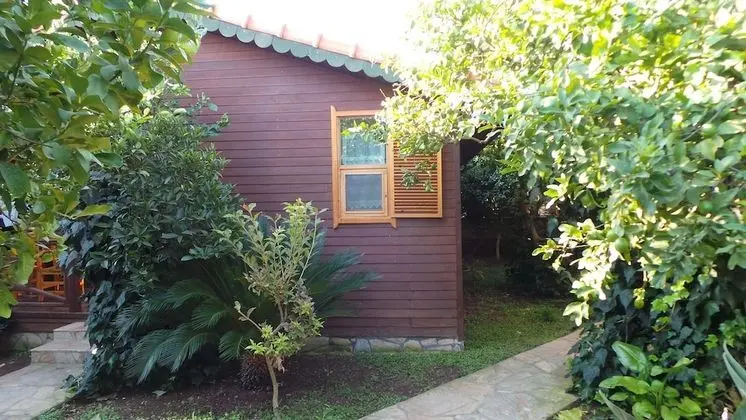 Mercan Bungalow - Dış Mekan