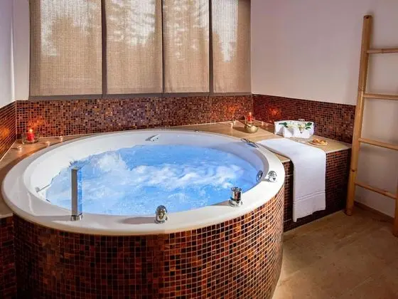 Mercure Bale Mulhouse Aeroport - Spa