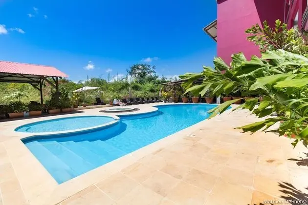 Mercure Cayenne Royal Amazonia Hotel - Havuz
