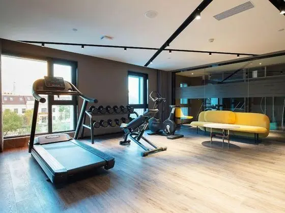 Mercure Harbin Sophia Church Hotel - Fitness