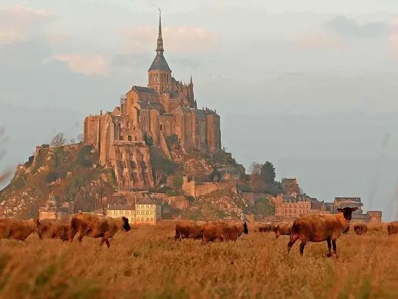 Mercure Mont Saint Michel - Genel