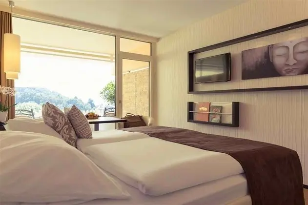 Mercure Panorama Freiburg - Oda