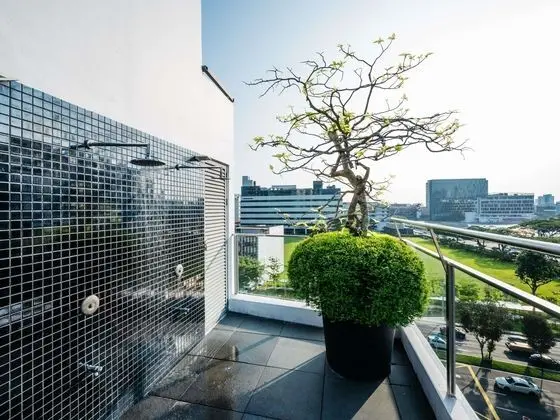 Mercure Singapore Tyrwhitt - Havuz