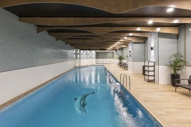 Meriton Suites Sussex Street - Havuz