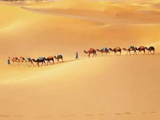 Merzouga Exotic Luxury Camp Is The Best Location - Genel