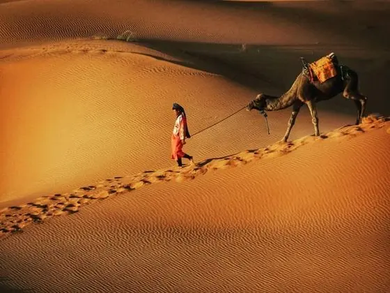 Merzouga Exotic Luxury Camp Is The Best Location - Genel
