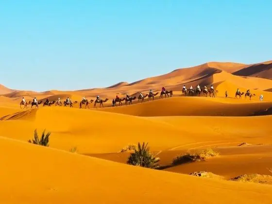 Merzouga Experience Camp - Öne Çıkan Resim