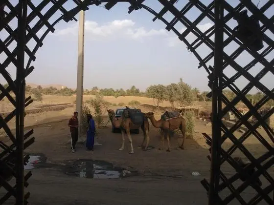 Merzouga Online Camp - Dış Mekan