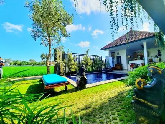Mesare Guest House by Dwaraloka