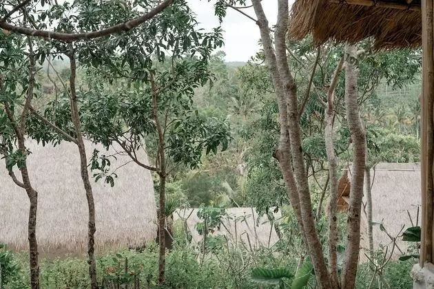 The Mesare Resort - Dış Mekan