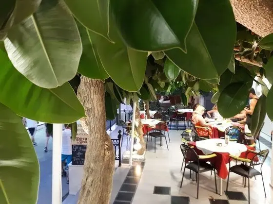 Metaxa Apartments - Yerinde Yemek