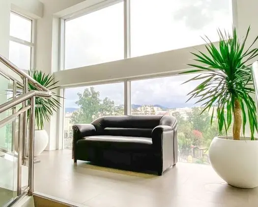 Metro Pines Inn - İç Mekan