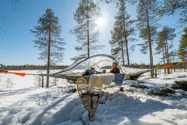 Metsä Kolo