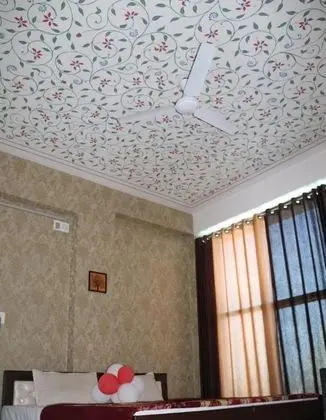 Mgh 114 Hotel Krishna Udaipur - Oda
