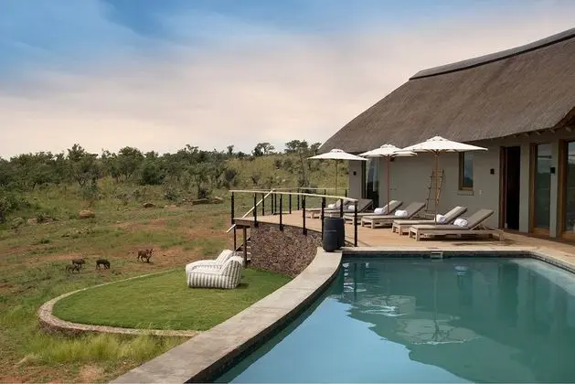 Mhondoro Safari Lodge & Villa - Havuz