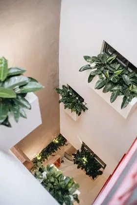 Mia Casa by Satori - İç Mekan