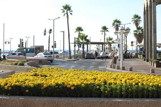 Miami Beach Hotel Tel Aviv - Dış Mekan