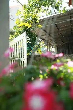 Mia's House - Hostel - Dış Mekan