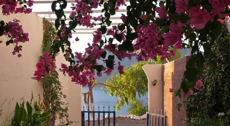 Michalis Studios - Dış Mekan