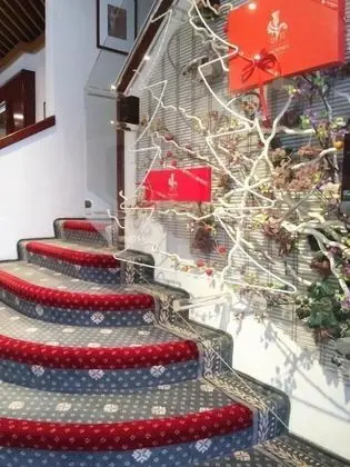 Hotel Michelangelo - Biella - Lobi