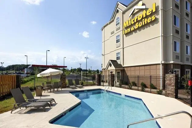 MICROTEL INN & SUITES BY WYNDHAM ANDERSON/CLEMSON - Havuz